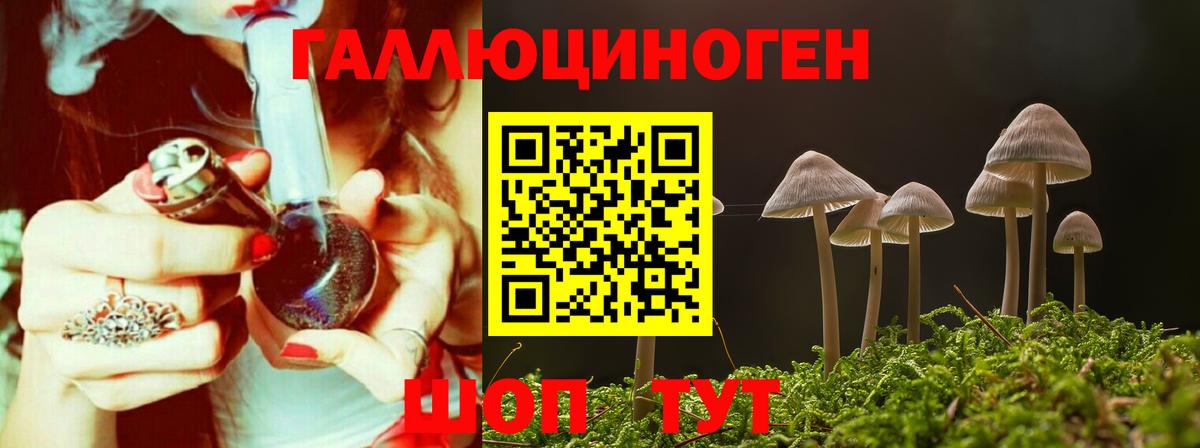 Псилоцибиновые грибы Magic Shrooms  Вход с VPN  Псилоцибиновые грибы мухоморы  как найти закладки  Когалым 